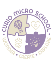 Load image into Gallery viewer, Curio Micro School Spirit Wear 2026 / 2027